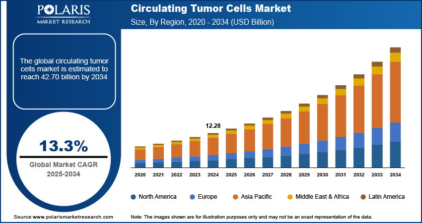 Circulating Tumor Cells Market Size